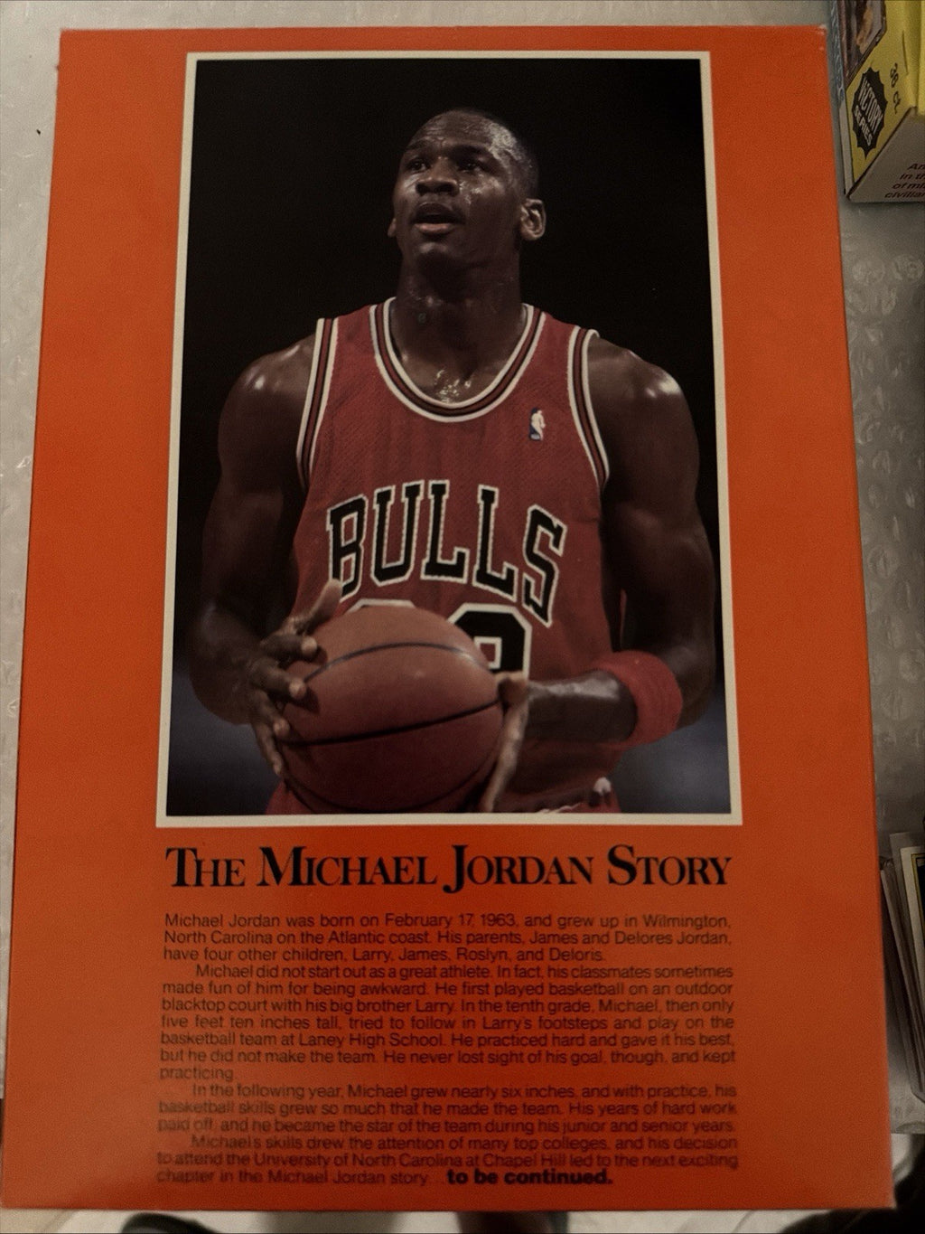 1999 WHEATIES CEREAL BOX MICHAEL JORDAN 75 YEARS OF CHAMPIONS (Empty)